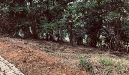 Terreno em condomínio fechado à venda na Rua Prefeito Luiz Penna, Novo Horizonte, Juiz de Fora, 2500 m2 por R$ 180.000