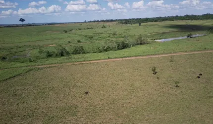 Fazenda Rondônia Alvorada do Oeste , região central do Estado