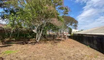 Lote/Terreno para aluguel, Jardim Carvalho - Ponta Grossa/PR