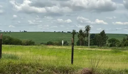 Terreno Padrão em São José do Rio Preto