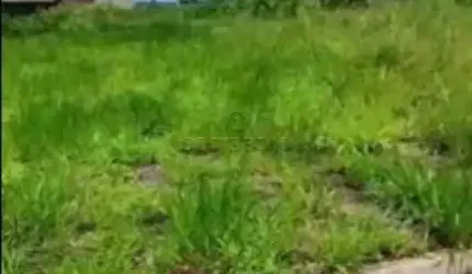 Terreno Padrão em São José do Rio Preto