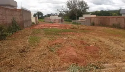 Terreno Padrão
