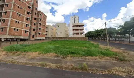 Terreno Padrão