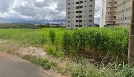 Terreno Padrão
