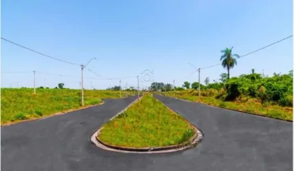 Terreno Padrão