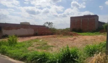 Terreno Padrão