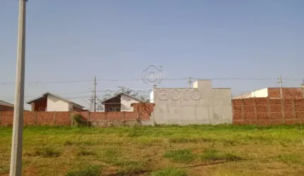 Terreno Padrão
