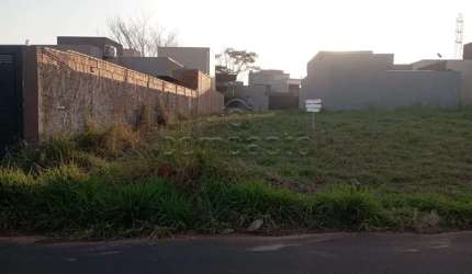 Terreno Padrão