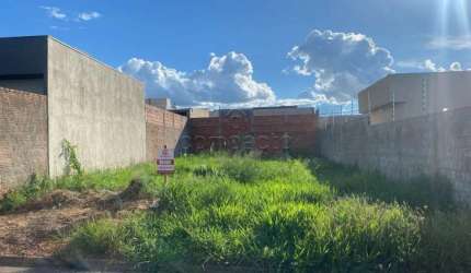 Terreno Padrão em São José do Rio Preto