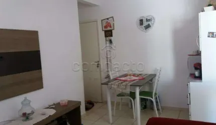 Apartamento Padrão em São José do Rio Preto
