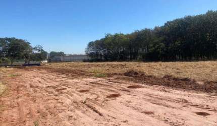 Terreno Área em Mirassol