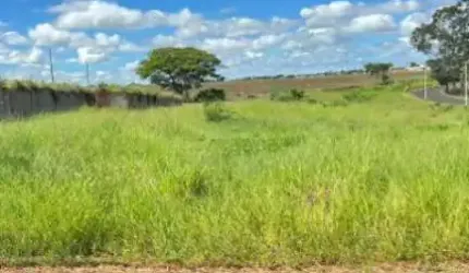 Terreno Padrão em Cedral