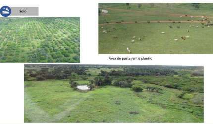 FAZENDA AROAZES 170.000 HECTARES