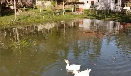 Ubatuba- Horto Florestal - Sitio com excelente localização, com terreno de 21 mil m2.
