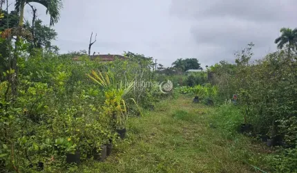 Terreno à venda no Balneário Praia do Pernambuco, Guarujá  por R$ 560.000