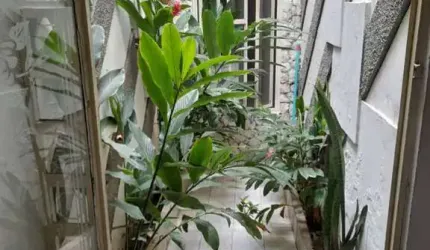 Casa à Venda no Bairro Suissa!