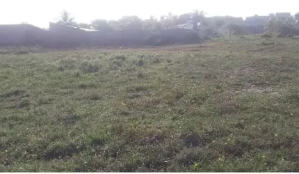 Terreno  no mosqueiro escriturado