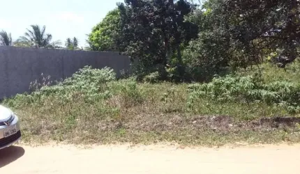 Terreno no Mosqueiro Robalo
