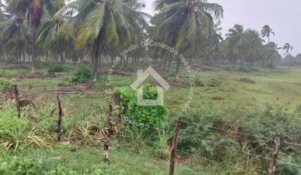 Vende-se Terreno na Praia da Caueira
