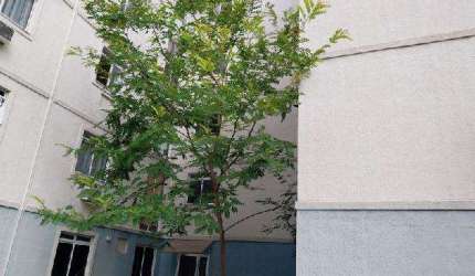 Oportunidade Única em MESQUITA - RJ | Tipo: Apartamento | Negociação: Venda Online  | Situação: Imóvel