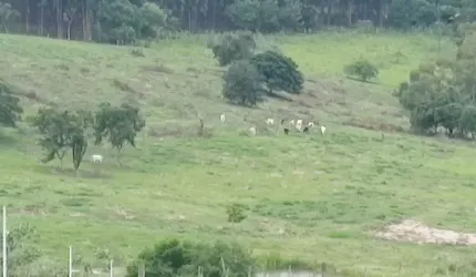 OPORTUNIDADE DE INVESTIMENTO EM CIDADE TURISTICA DO PARANÁ.