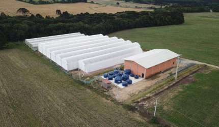 Chácara à venda, 30000.00 m2 por R$1590000.00  - Passa Dois - Lapa/PR