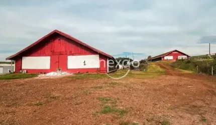 Chacara a venda com aviario, SEDE ALVORADA-CASCAVEL-PR