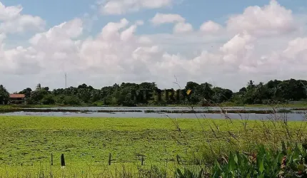 Maravilhoso Sítio em Caucaia