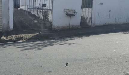 Casa com ótima localização em Bras Cubas