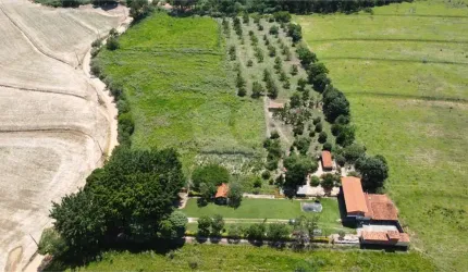 Área de Terra à venda em Buru - SP