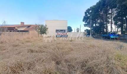 Excelente Terreno para locação, Uvaranas, PONTA GROSSA - PR