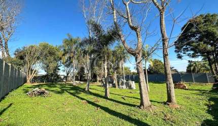 Terreno à venda, Colonia Dona Luiza, em PONTA GROSSA - PR