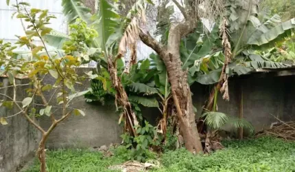 Terreno Residencial à venda, Vila Noêmia, Mauá - TE0184.