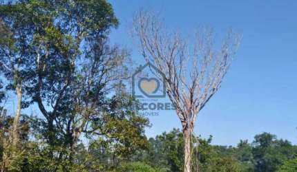 Terreno, Vila Moraes, Mogi das Cruzes - R$ 106 mil, Cod: 481