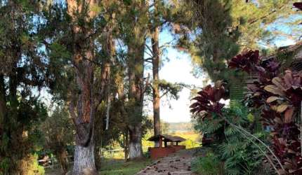 Sítio com 6 quartos, Taiaçupeba, Mogi das Cruzes - R$ 2.5 mi, Cod: 267