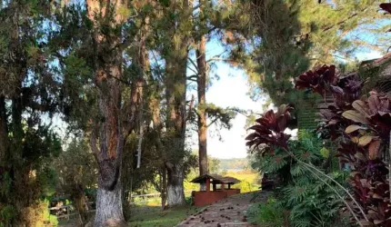 Sítio, Taiaçupeba, Mogi das Cruzes - R$ 3 mi, Cod: 270