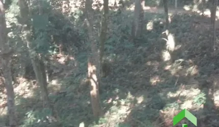 Vendo Terreno com 587 m2, plano no Vale Verde 1 em Ipiabas