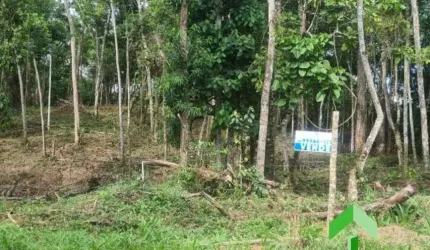 Terreno á venda em Ipiabas com 1634 m2