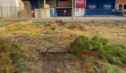 Terreno à venda no Santa Catarina, Caxias do Sul  por R$ 380.000