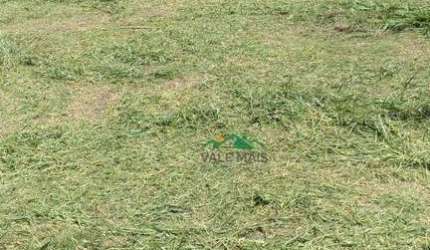 Terreno à venda, 293 m² por R$ 270.000 - Vila Indiana - Guaratinguetá/SP
