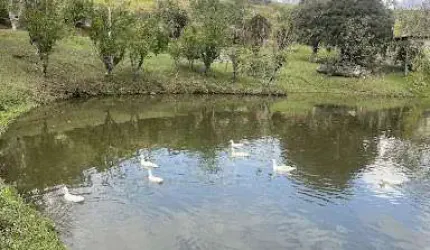 Sítio com 7 dormitórios à venda, 140000 m² por R$ 2.200.000,00 - ESTRADA GUARÁ X CUNHA - Cunha/SP