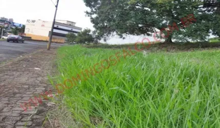 Venda JardimSoDomingos Americana/SP