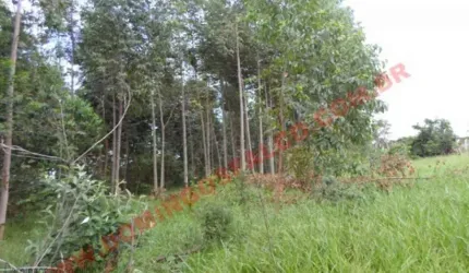 Venda JardimNovaLimeira Limeira/SP