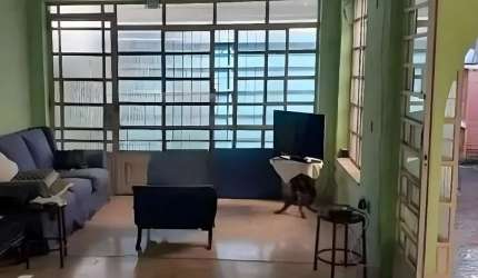 Casa com 3 quartos à venda na Rua Baturité, 143, Aclimação, São Paulo por R$ 2.000.000