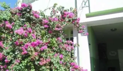 Casa com 2 quartos à venda na Rua Mauricina, 244, Vila Romana, São Paulo por R$ 1.390.000