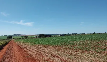Fazenda de 15 alqueires em lavoura ou cana em Morrinhos, GO.