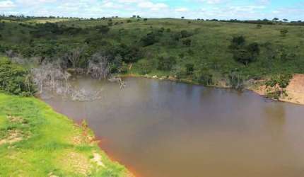 Fazenda de 104 em pecuária na região de Ipameri, Go.
