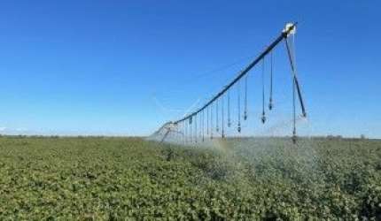 Fazenda altamente produtiva com mais de 1000 alqueires a venda  em Goiás