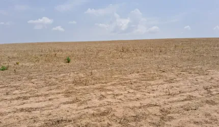 Fazenda de agricultura a venda em Goiás
