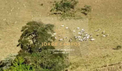 SI-25192- SÍTIO À VENDA EM IGARATÁ-SP